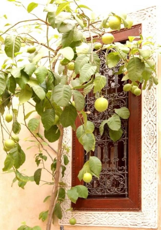 Riad Dar Rania Marrakech Medina Jemaa El Fna Марракеш Экстерьер фото